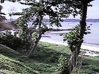 myweb008.jpg (28429 bytes)