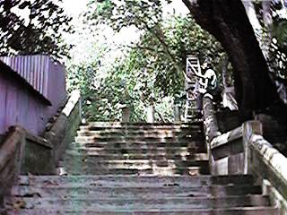 Temp011.jpg (25563 bytes)